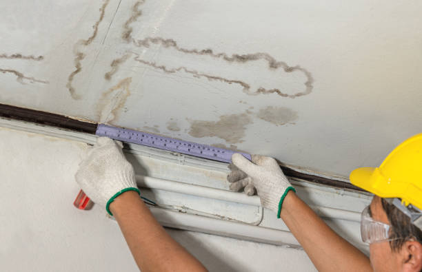 Reliable Flood Cleanup contractor in Madisonville, TX by Water Damage Irwin